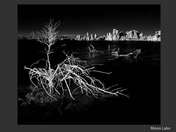 022ML_7084d