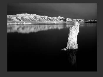 025ML_7140