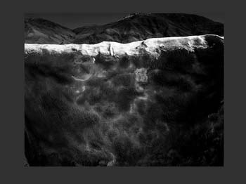034bRawHide_7197b