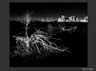 022ML_7084d