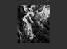 037RawHide_7190a