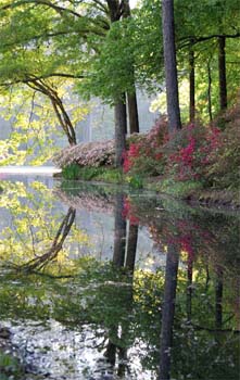 Calloway Gardens Reflection