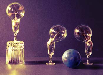 Still Life with Bulbs